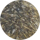 quentin_ Mathieu profile picture